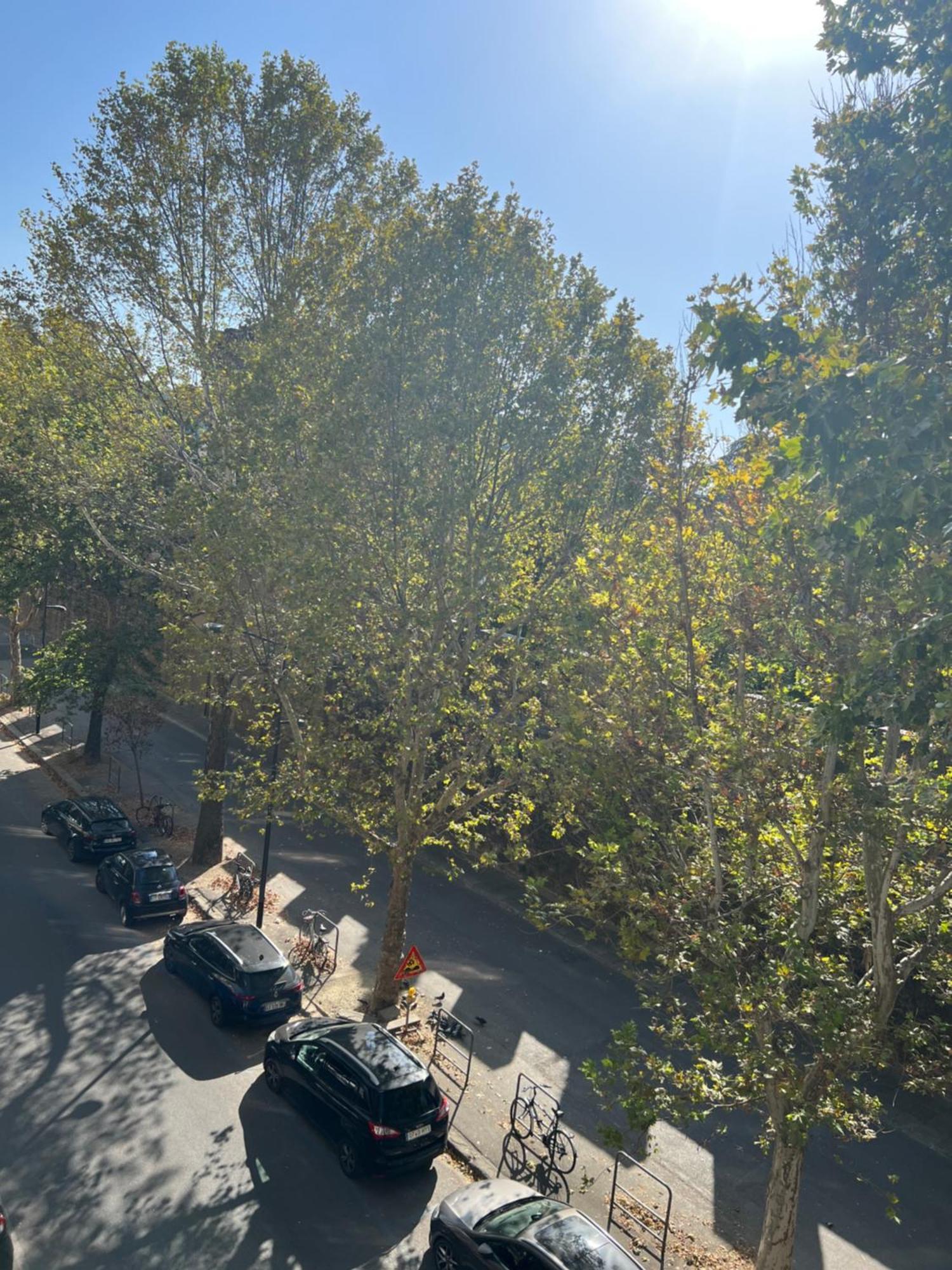 Santa Rosa Florence Apartments 3 Bedrooms - Private Parking Экстерьер фото